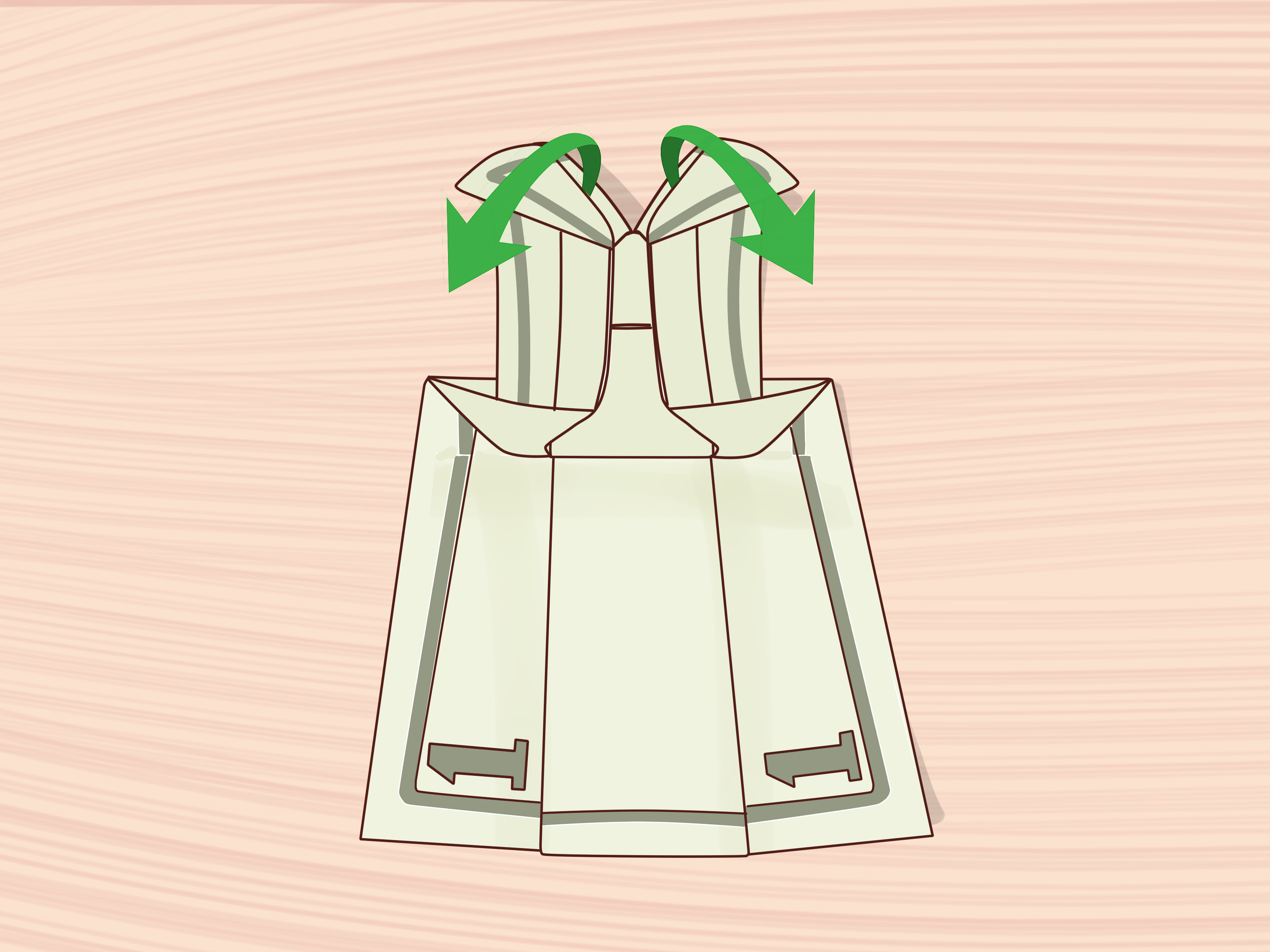Money Origami Steps 3 Ways To Fold Money For A Money Tree Wikihow