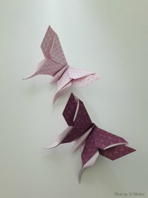Origami Advanced Diagrams Paper Metamorphosis Beautiful Looking Origami Butterflies