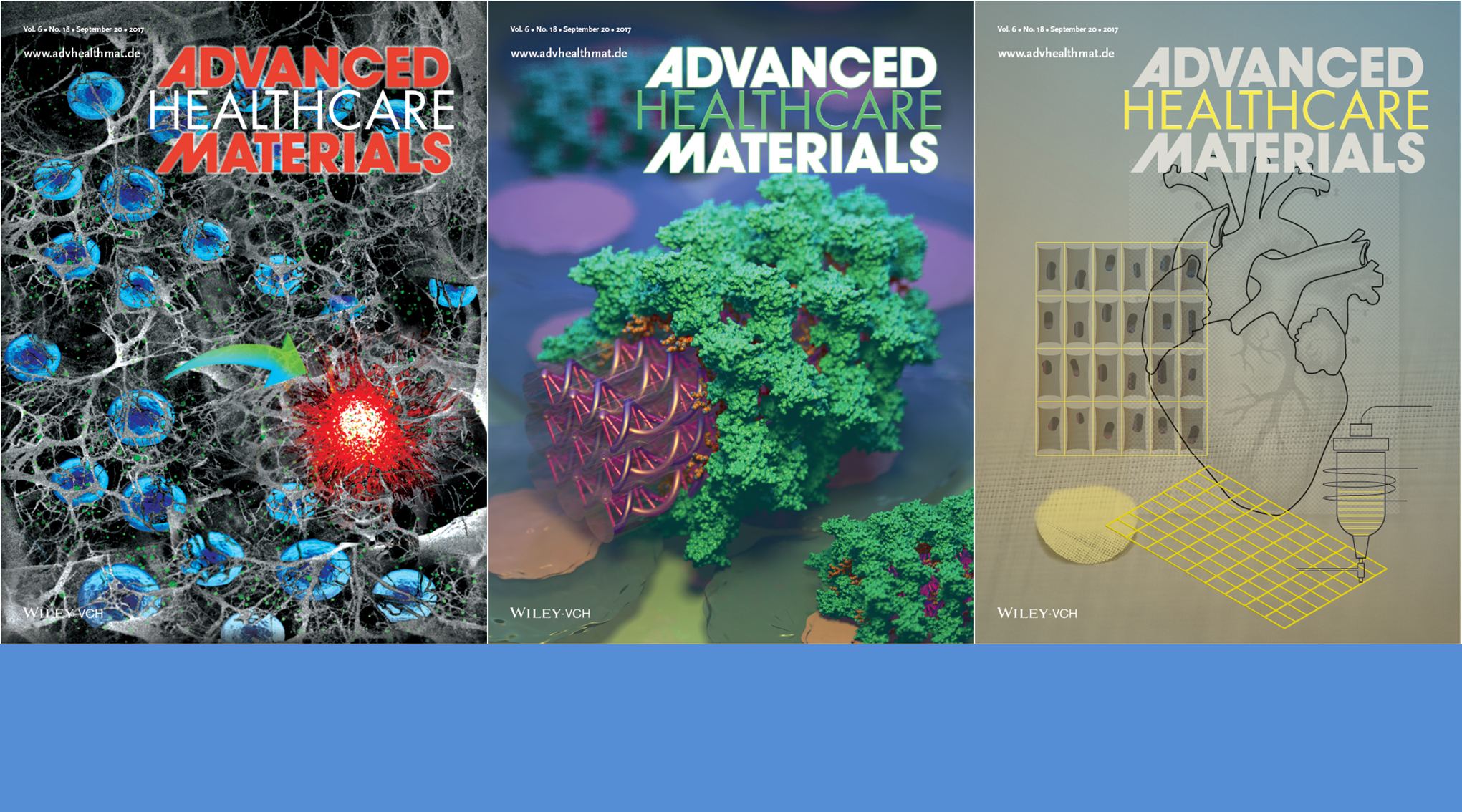 Origami B Cells Cover Art Featuring Dna Origami Cardiac Scaffolds And Stem Cells