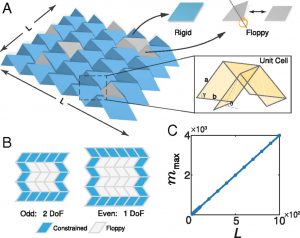 Origami B Cells Rigidity Percolation And Geometric Information In Floppy Origami Pnas