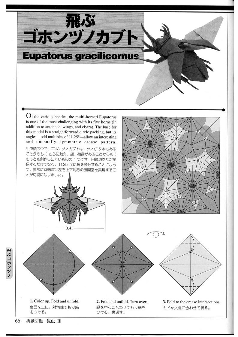 Origami Book Instructions Origami Insects Book Origamiart