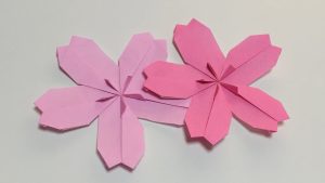 Origami Cherry Blossom How To Make A Paper Cherry Blossom Origami Flower Cherry Blossom Tutorial