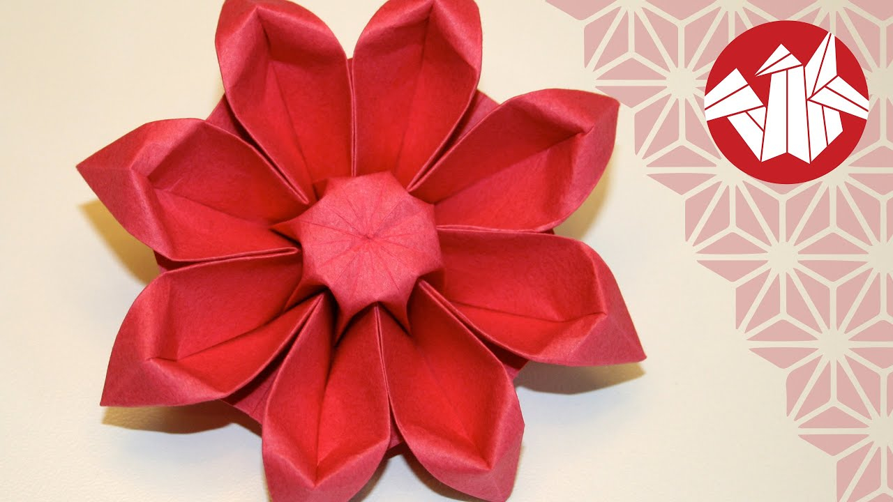 Origami Daisy Instructions Flower Origami Tutorial Gerbera Senbazuru