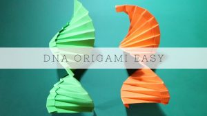 Origami Dna Model Origami Dna Helix Dna Structure Video Instructions