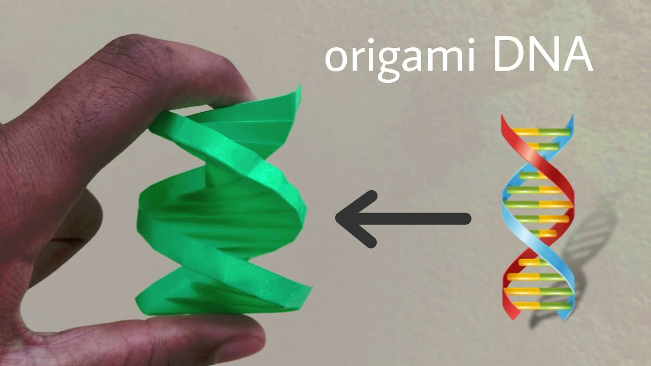 Origami Dna Model Origami Dna