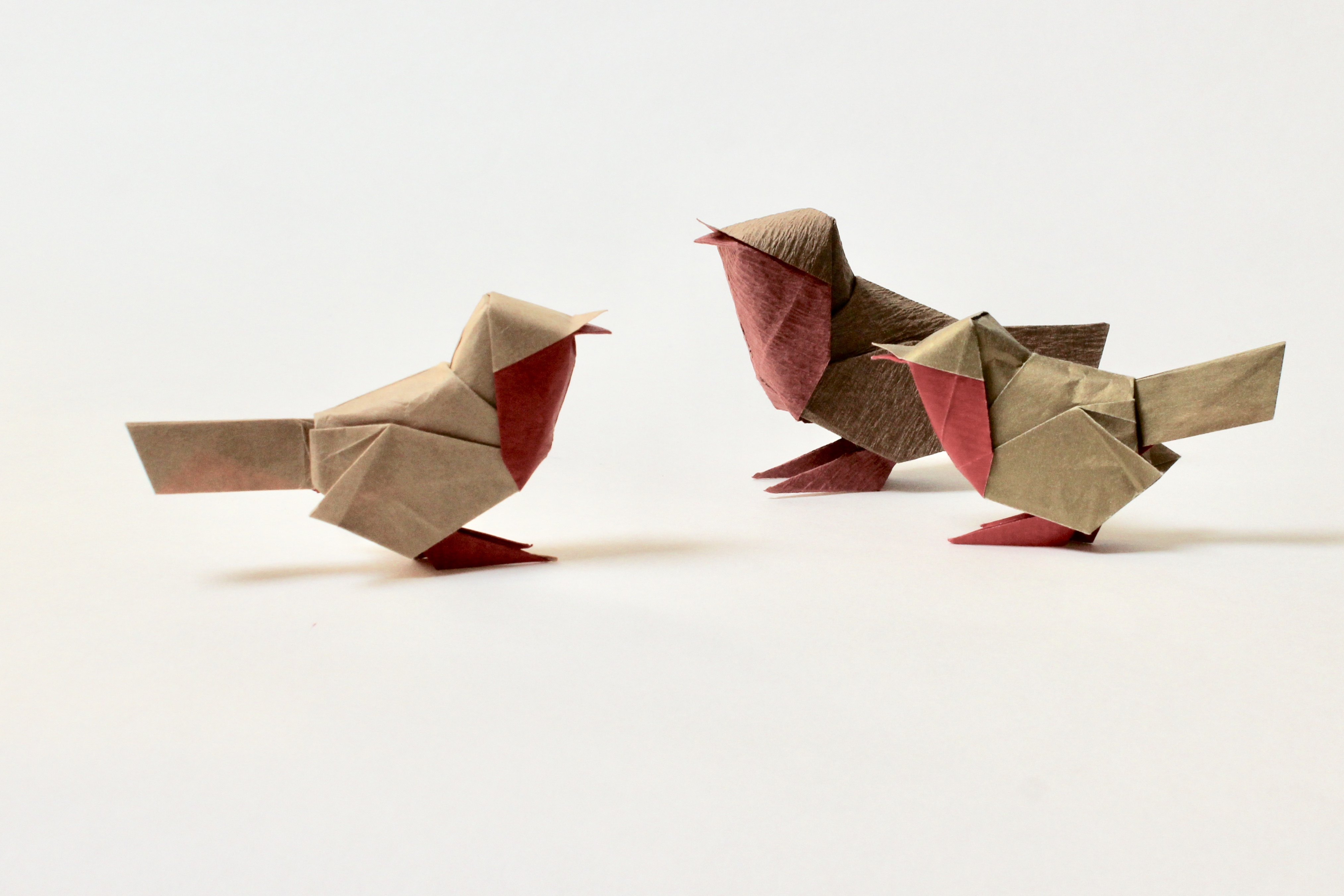 Origami Dog Instructions Advanced Diagrams David Brill