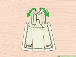 Origami Dollar Bill Shirt With Tie 3 Ways To Fold Money For A Money Tree Wikihow
