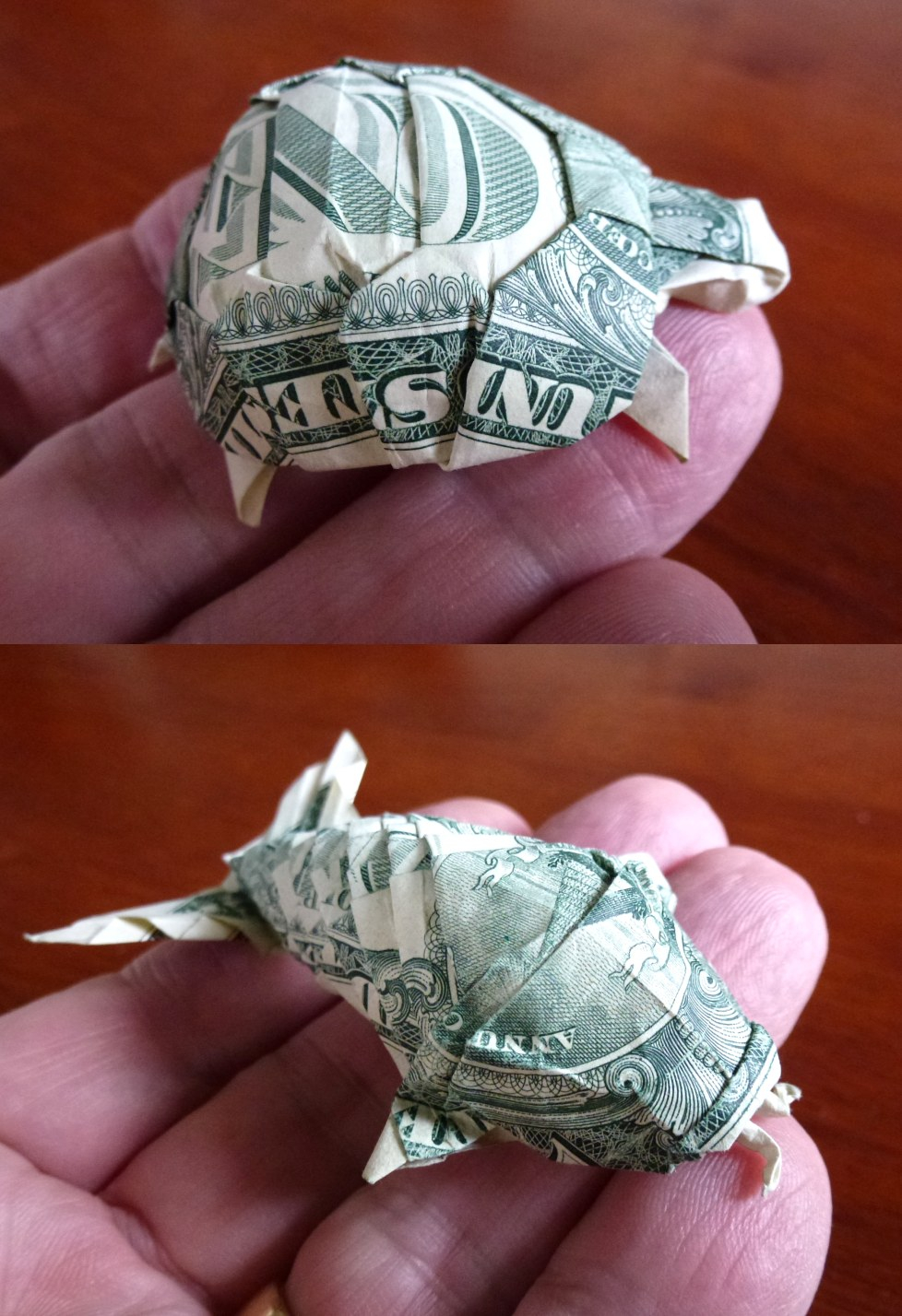 Origami Dollar Turtle 548 Making Your Dollar Go Further Setting The Crease