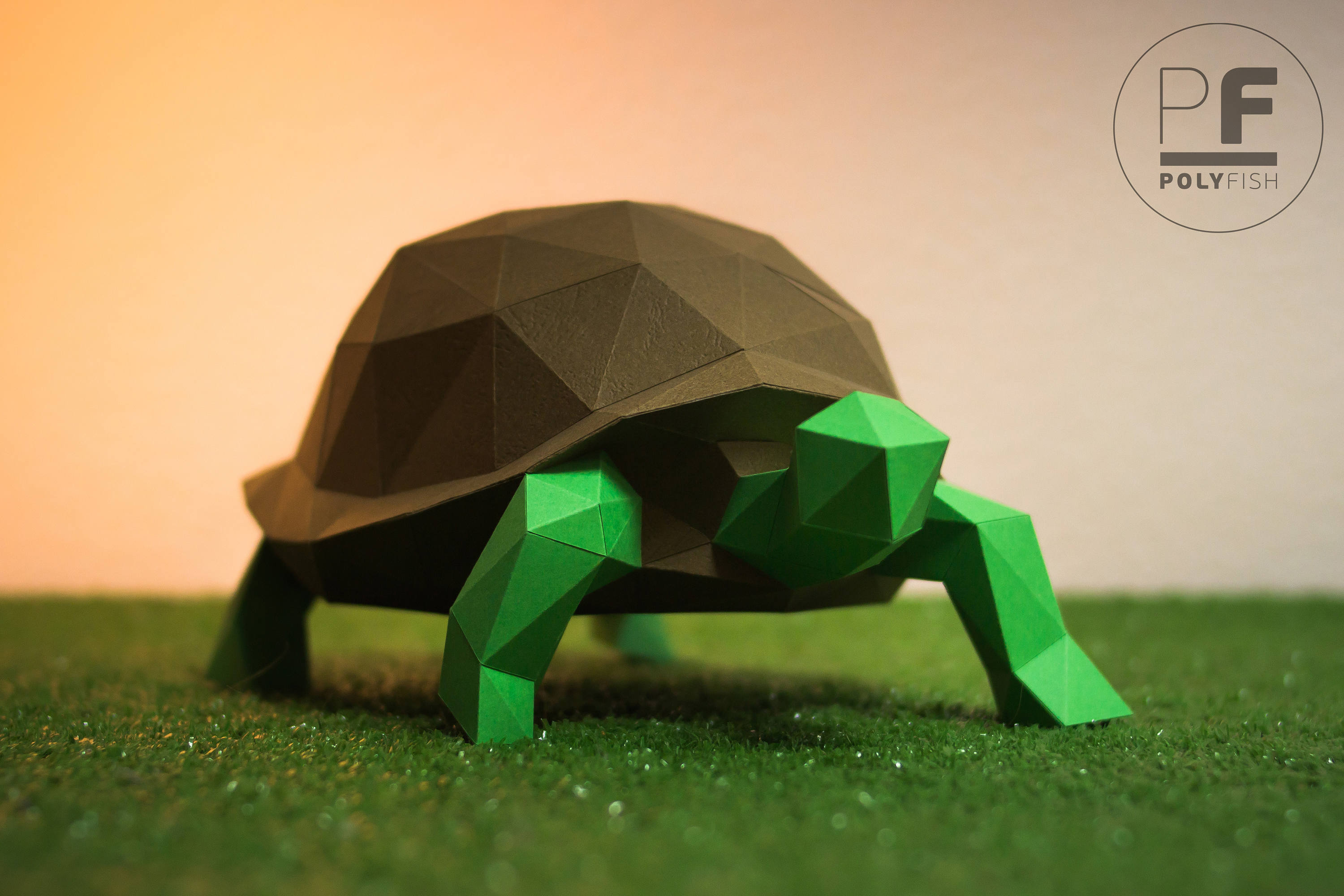 Origami Dollar Turtle Turtle Paper Turtle Origami Turtle Papercraft Lowpoly Diy Template Pdf