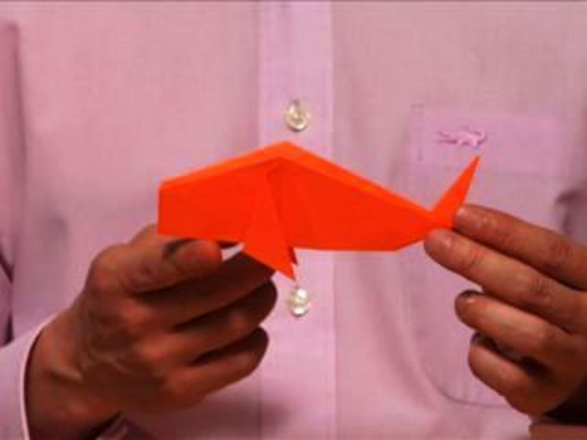 Origami Fish Base How To Make An Origami Fish Howcast The Best How To Videos