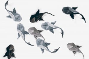 Origami Fish Directions You Should Definitely Give A Carp About These Beautiful Origami Koi