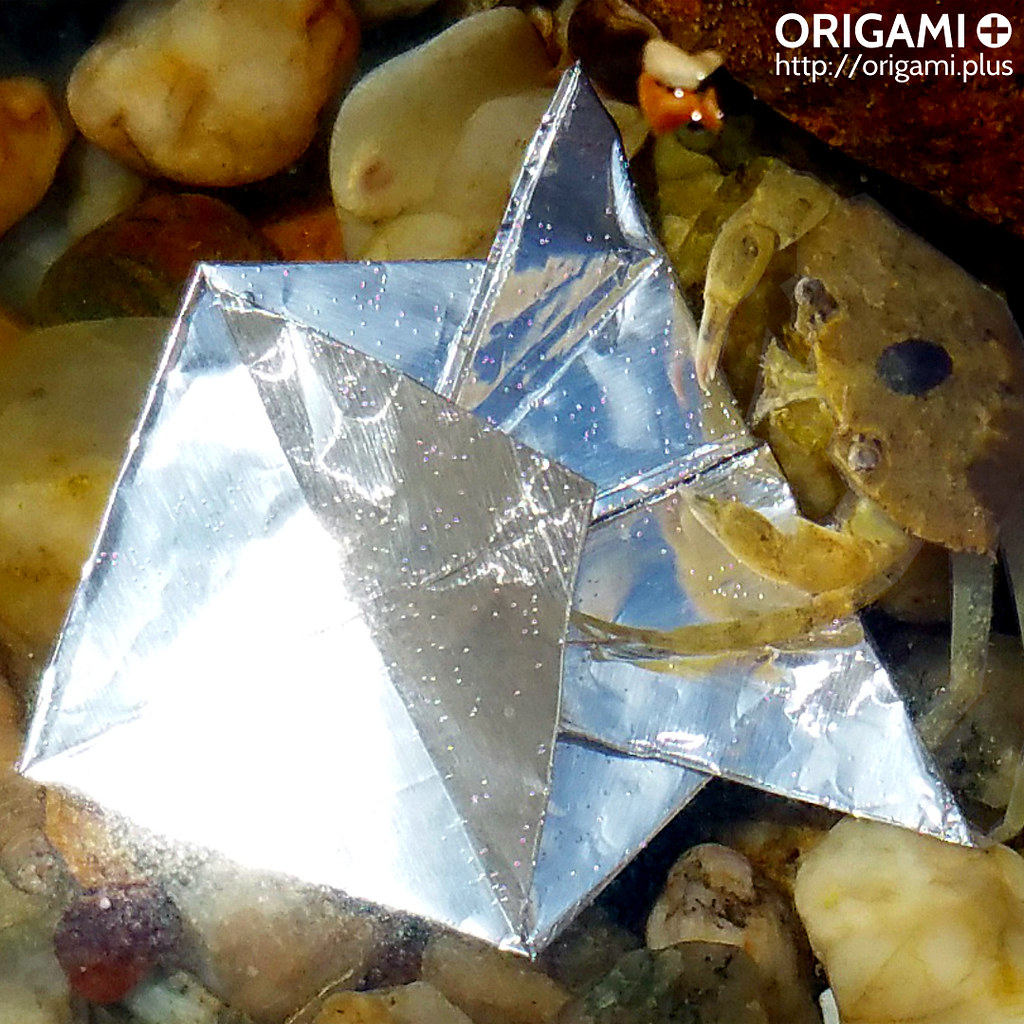 Origami Fish Video Crab Attacks Origami Fish Video Underwater Origami Flickr