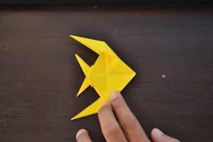 Origami Fish Video Origami Fish