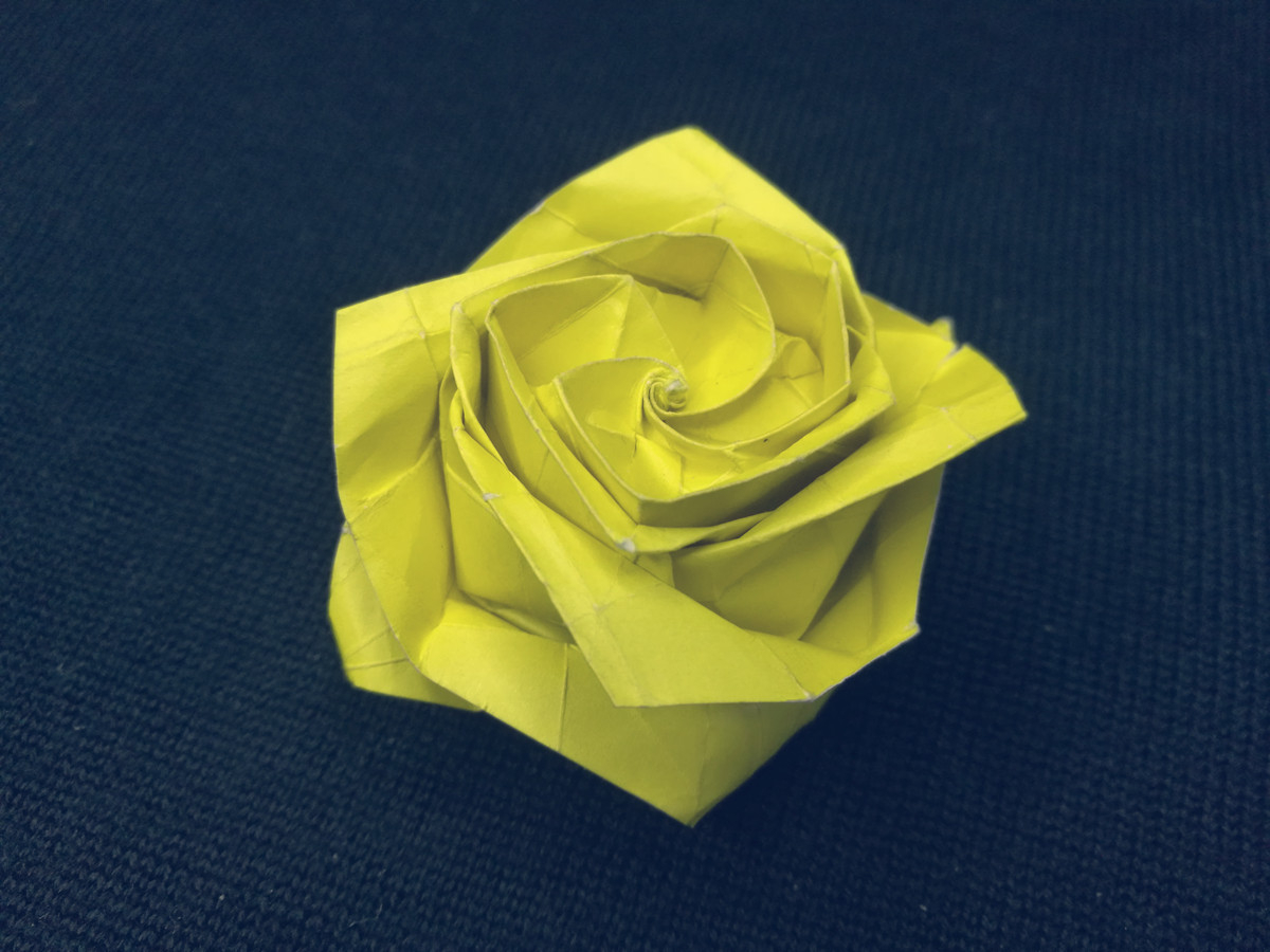 Origami Flower Rose Origami Flower Rose In Bloom Instruction