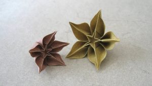Origami Flower Star Origami Instructions Carambola Carmen Sprung