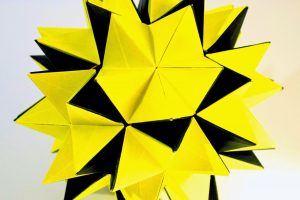 Origami Flower Star Will Fold For Paper Revealed Flowerpopup Star Design