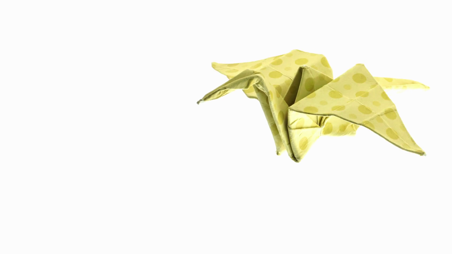 Origami Flying Dinosaur Animated Origami Crane Flying On White Background In Different Colours