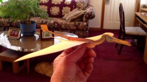 Origami Flying Dinosaur Papercraft Fiddlersgreen Flying Dinosaur Paper Model Gliders