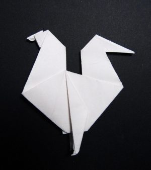 Origami For Beginners Origami For Beginners Guide