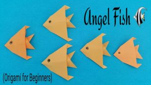 Origami For Beginners Origami For Beginners Paperfoldsin Origami Arts And Crafts