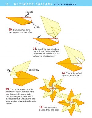 Origami For Beginners Ultimate Origami For Beginners Kit Dvd