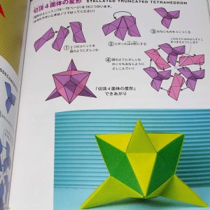 Origami For Dummies Polyhedron Origami For Beginners Book Otaku