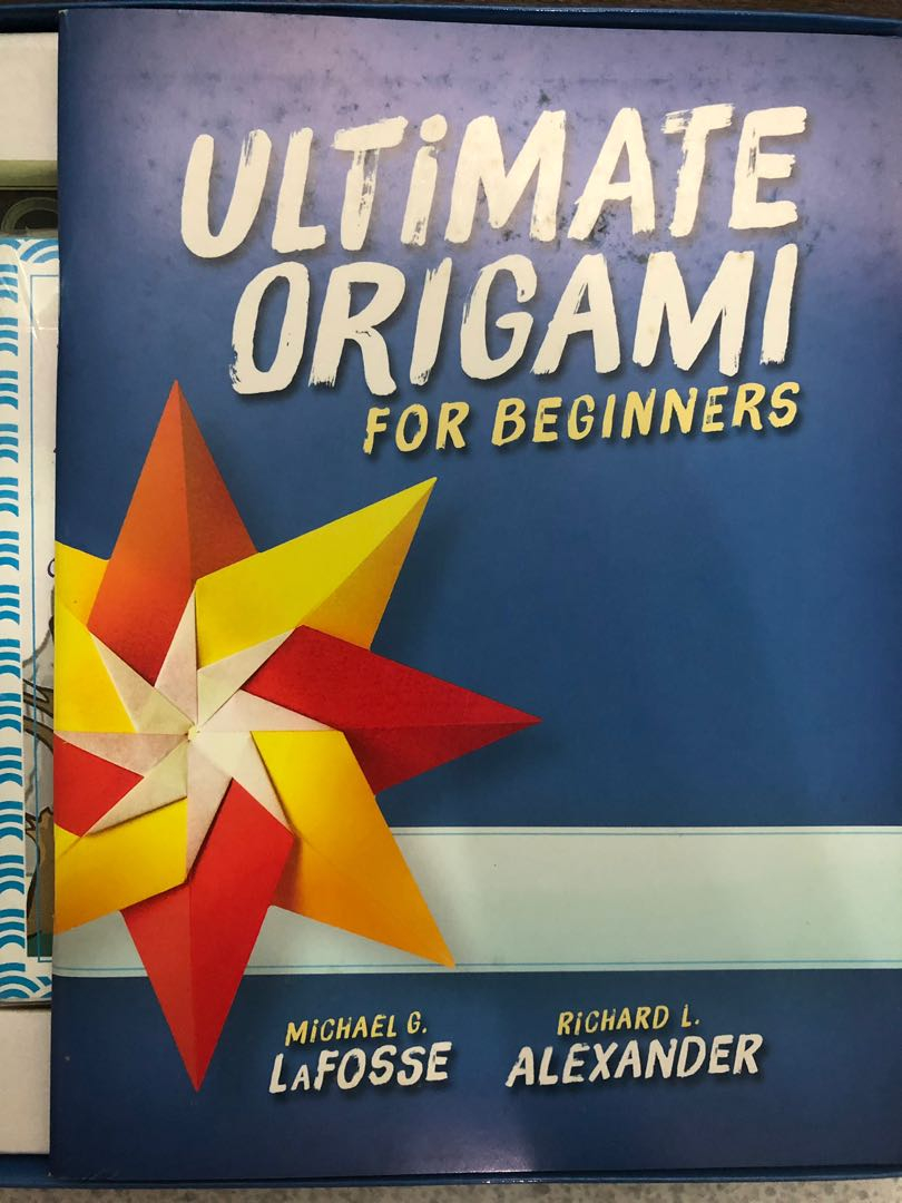 Origami For Dummies Ultimate Origami For Beginners