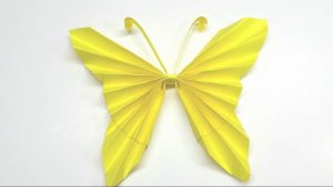 Origami Instructions Easy Origami Instructions How To Fold An Easy Origami Paper Butterfly