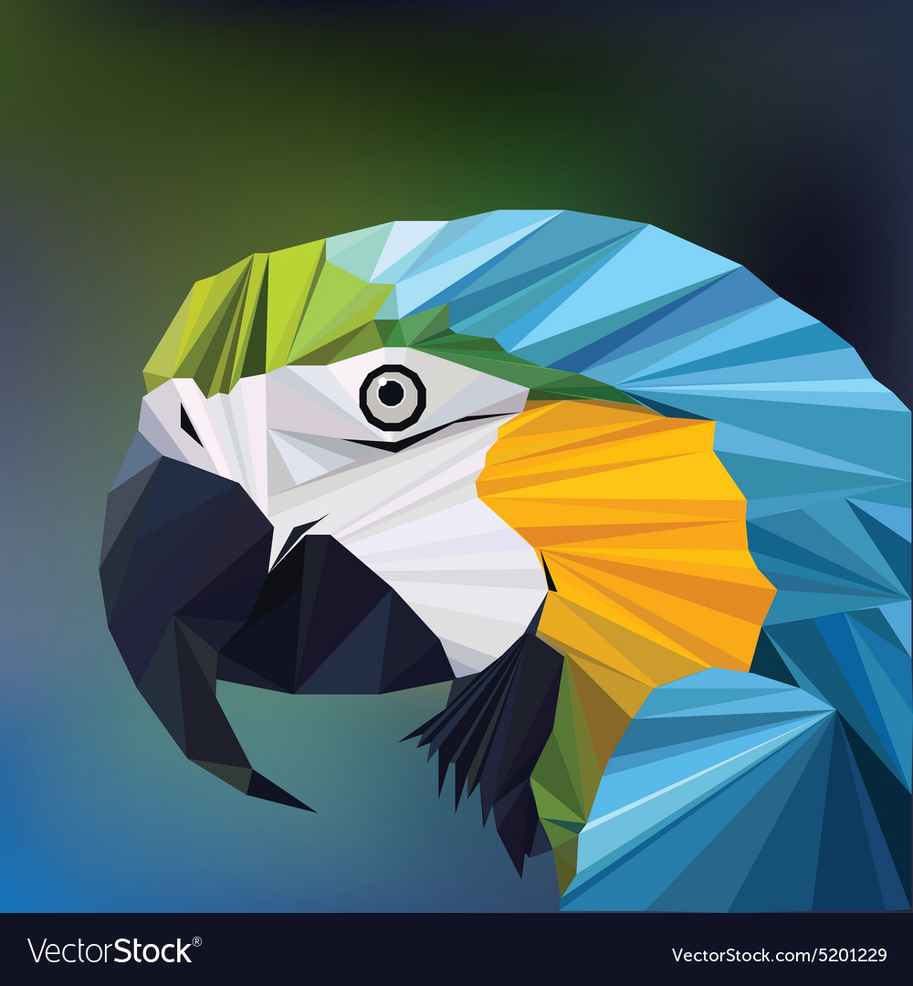Origami Macaw Parrot Step By Step 3d Origami Low Polygon Macaw Parrot