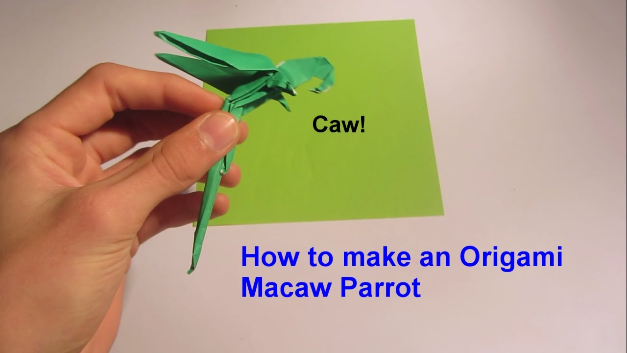 Origami Macaw Parrot Step By Step How To Make An Origami Macaw Parrot