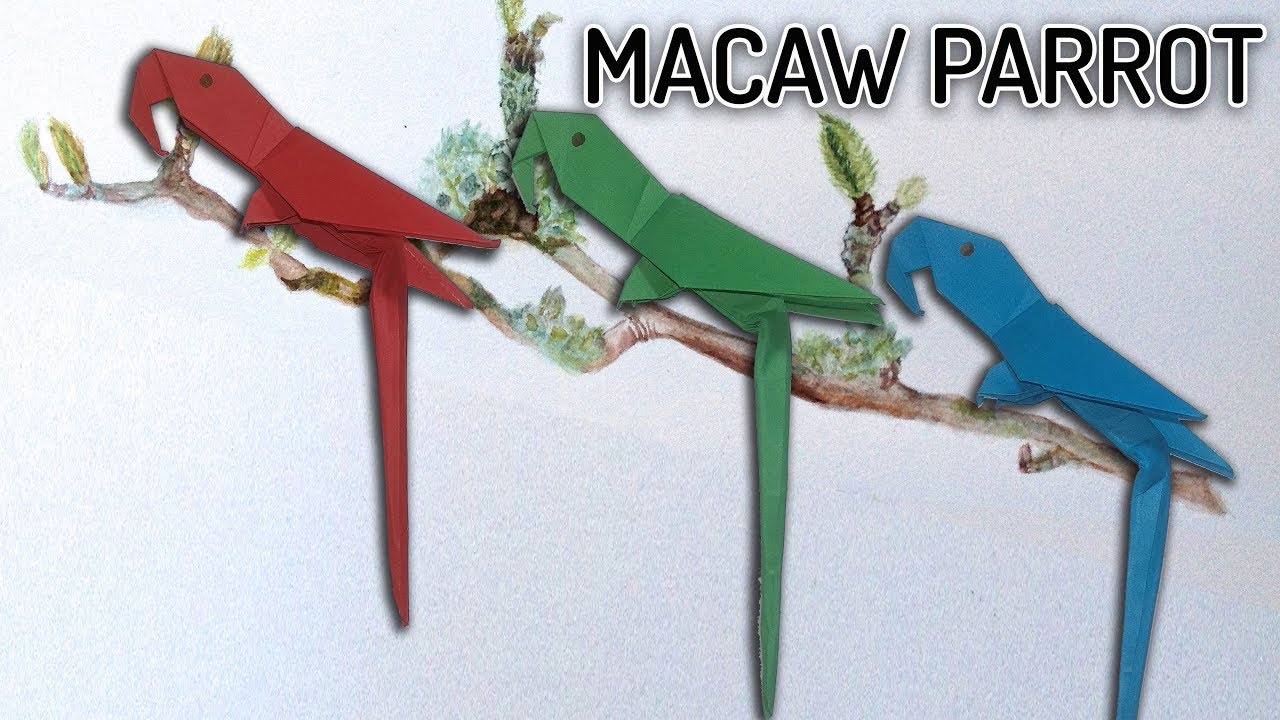 Origami Macaw Parrot Step By Step How To Make Macaw Parrot With Paper Step Step Origami Arts