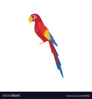 Origami Macaw Parrot Step By Step Large Red Macaw Parrot Side View Isolated On White