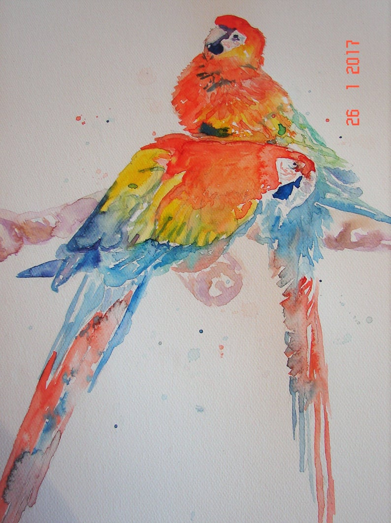 Origami Macaw Parrot Step By Step Macaw Parrot Art Watercolour Orginal Painting Australian Sellers Birds Colourful Red Yellow Blue Bird Painted Bird Pictures Red Wall Art