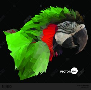 Origami Macaw Parrot Step By Step Macaw Parrot Head On Vector Photo Free Trial Bigstock