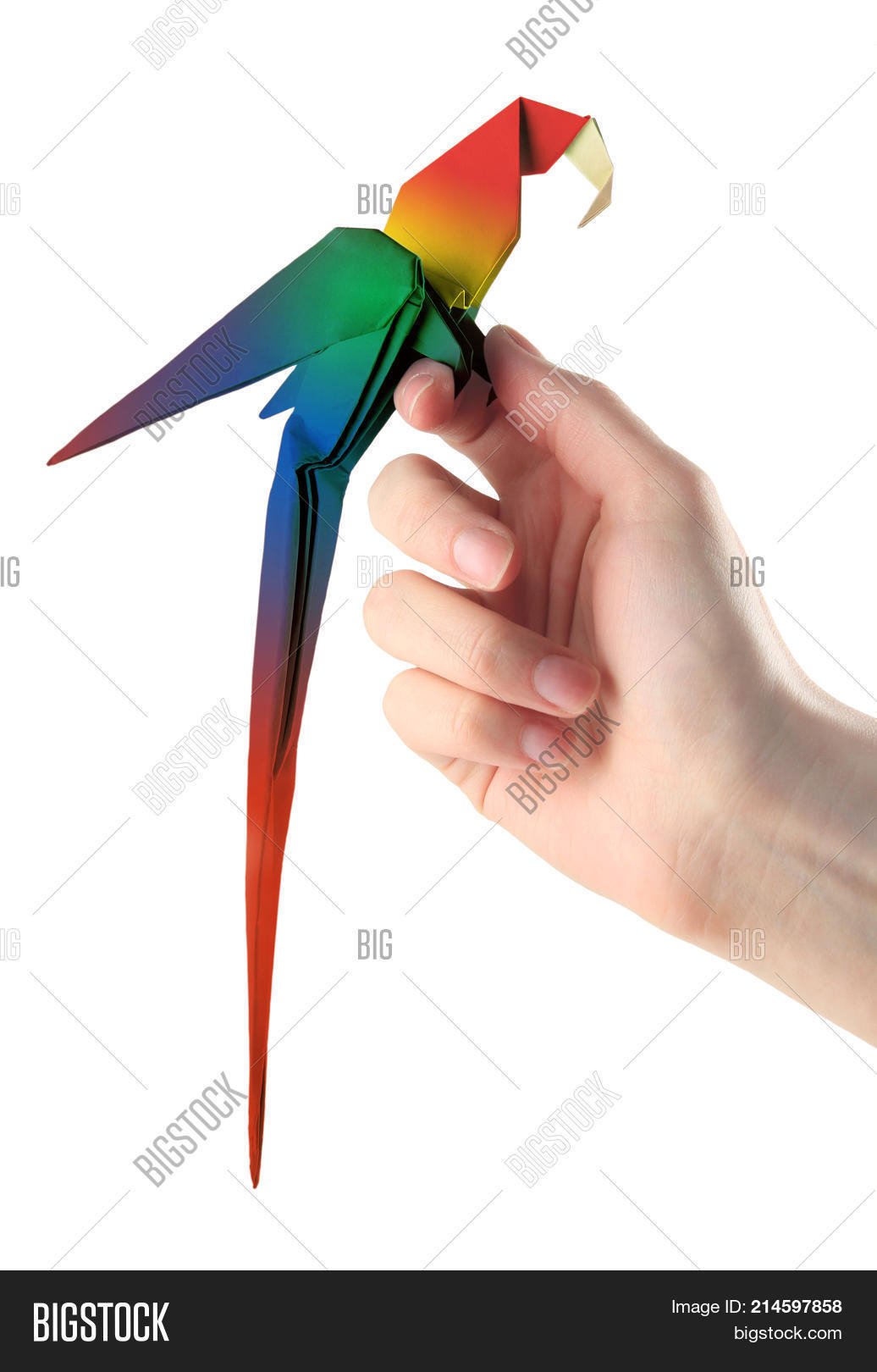 Origami Macaw Parrot Step By Step Origami Macaw Parrot Image Photo Free Trial Bigstock