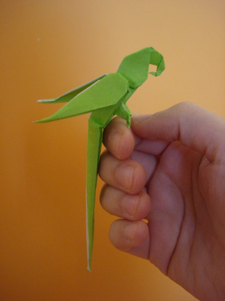 Origami Macaw Parrot Step By Step Origami Macaw Parrot Origami Parrot Designed Manuel Sig