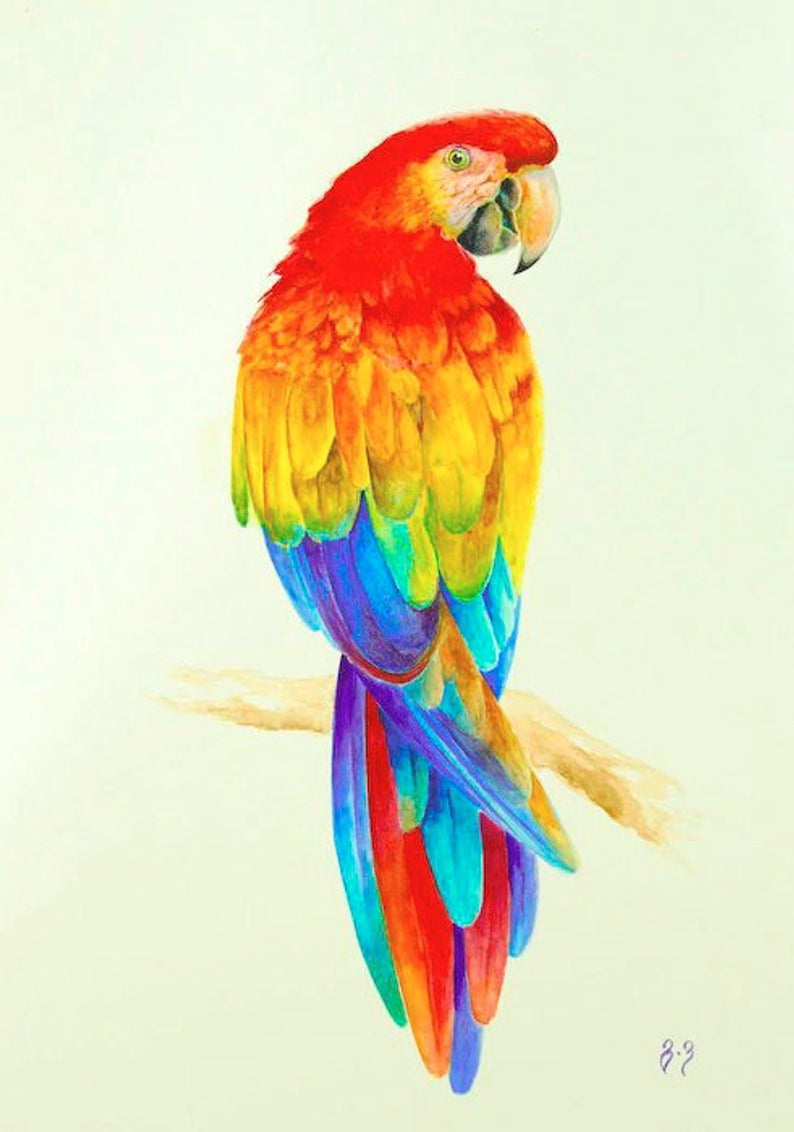 Origami Macaw Parrot Step By Step Parrot Painting Red Macaw Parrot Watercolor Colorful Bird Wall Art Decor Tropical Parrot Original Watercolor Unique Gift For Bird Lover