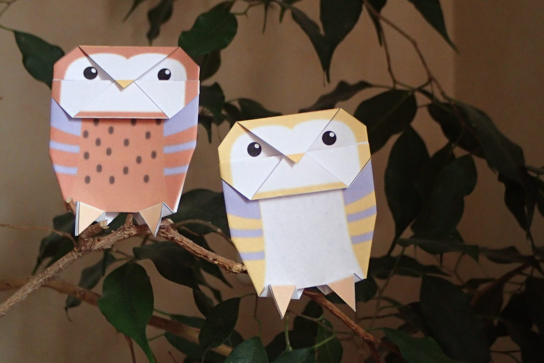 Origami Owl Brochure Educational Material Owl For Peace