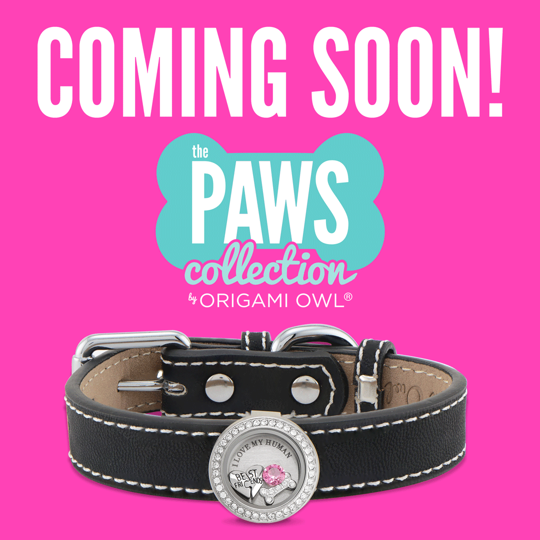 Origami Owl Brochure New Paws Collection From Origami Owl Paws Itively Adorable Direct