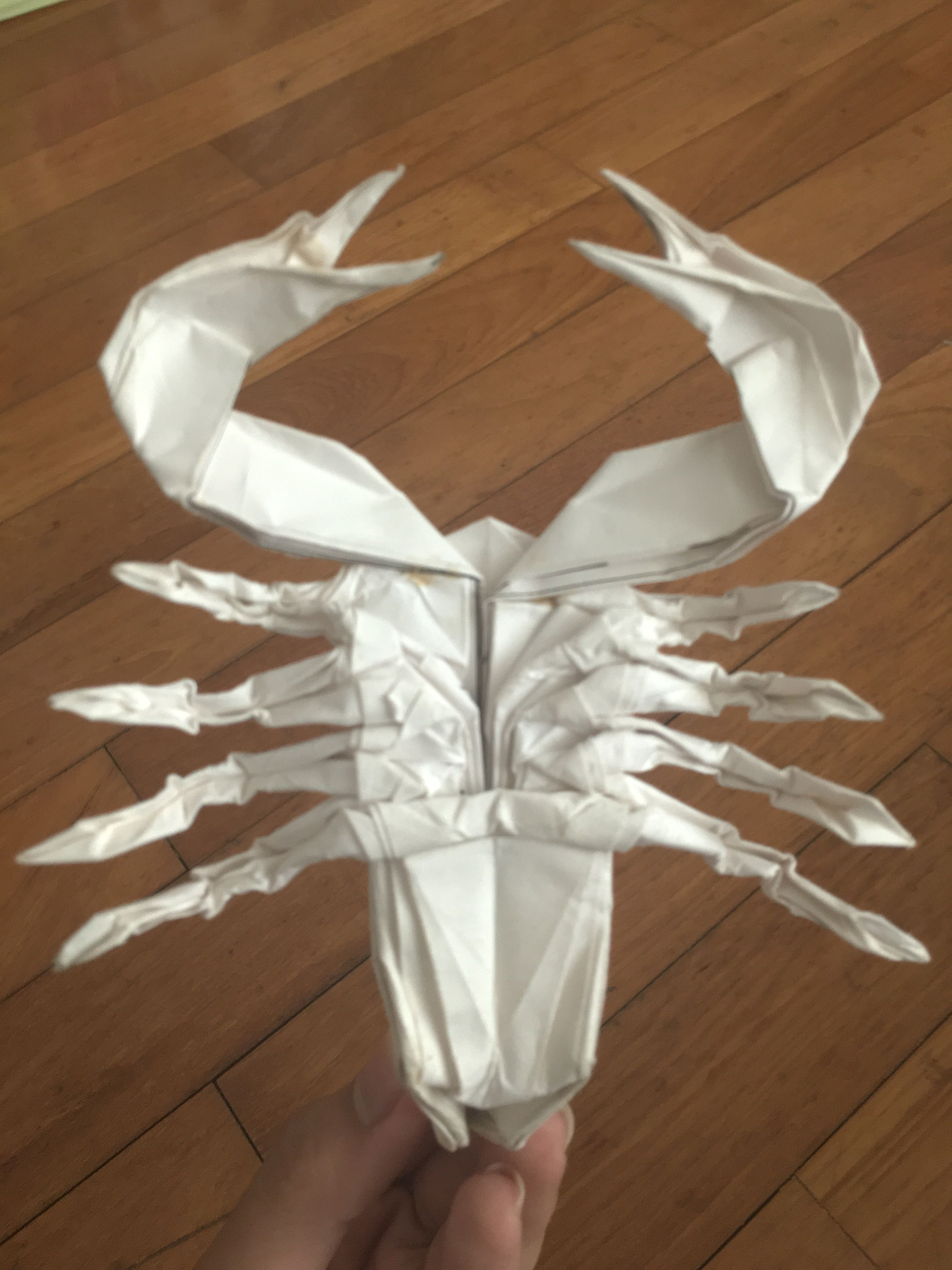 Origami Paper Bulk Origami Scorpion Robert Jlang Folded Me Artwork The Ttv