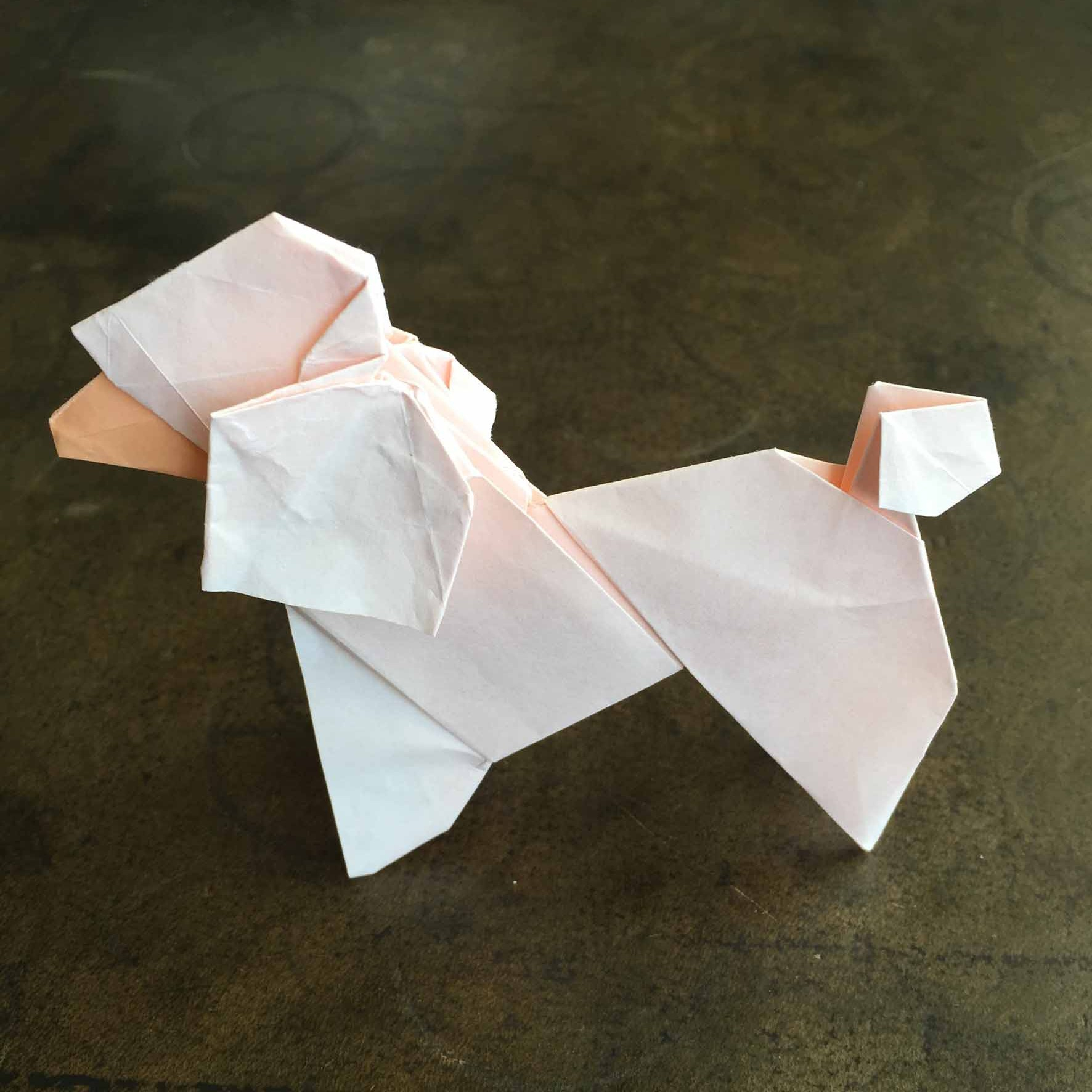 Origami Poodle Instructions Origami Database Creator