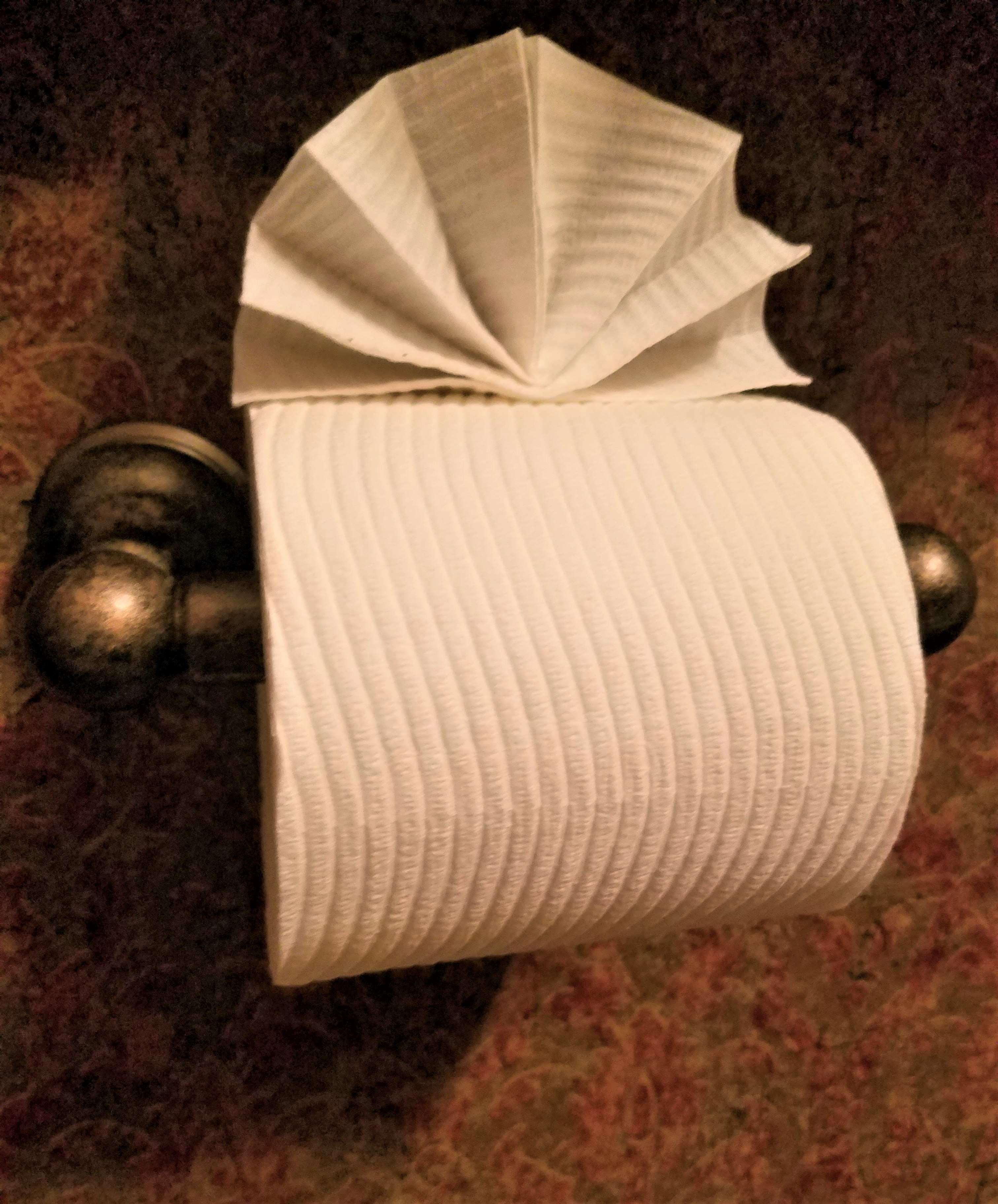 Origami Toilet Paper 3 Best Toilet Paper Origami Ideas Renee Romeo