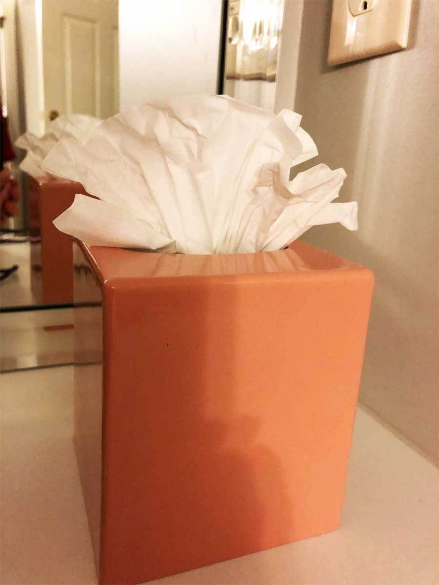 Origami Toilet Paper Drhguy The Duchess Ascend Into Elegant Living With Onset Of Toilet