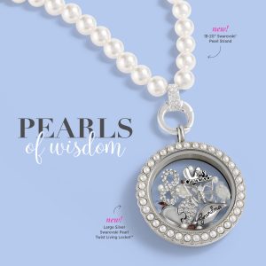 Owl Origami Necklace Origami Owl Gifting Collection 2017 Capture Memories With 5 New