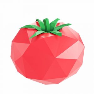 Paper Flower Origami 3D Model Tomato Low Poly 3d Model