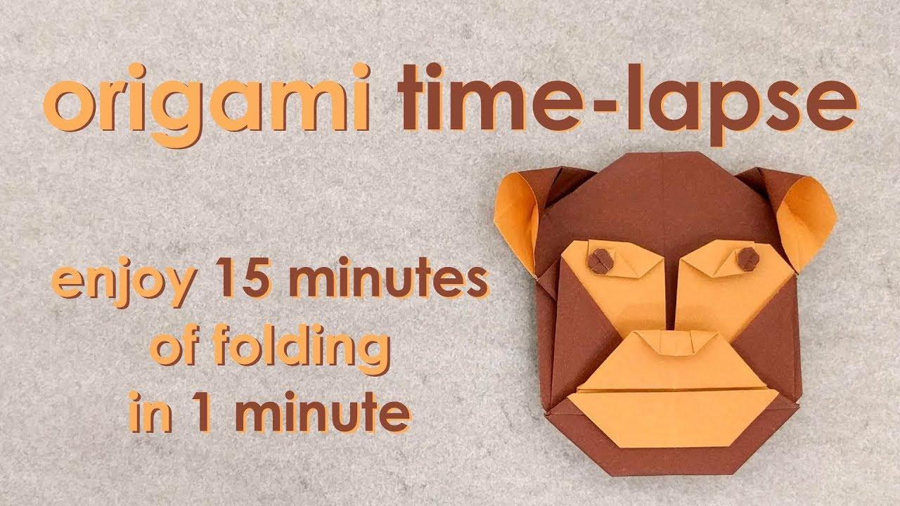 Robin Glynn Origami Origami Time Lapse Monkey Head Robin Glynn