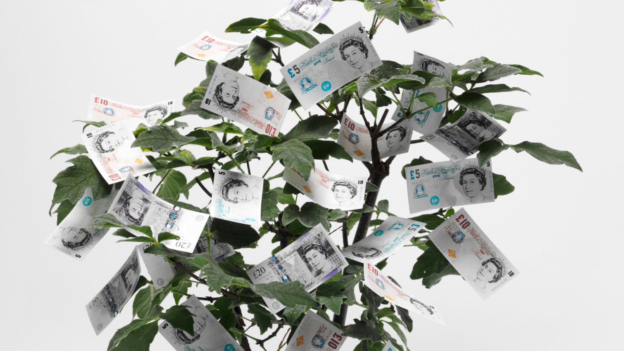 Ten Pound Note Origami Has Boris Johnson Found A Magic Money Tree For The Nhs Politics