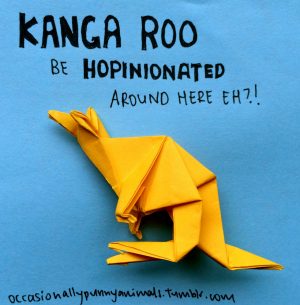The Complete Book Of Origami Animals Occasionally Punny Animals Kangaleeza Had A Whole Pouch Full Of