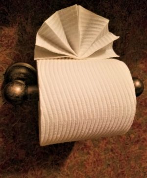 Toilet Paper Origami 3 Best Toilet Paper Origami Ideas Renee Romeo