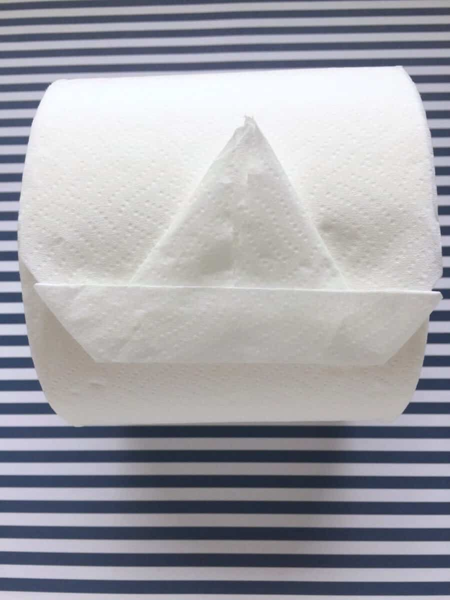 Toilet Paper Origami Ahoy Learn To Fold A Toilet Paper Origami Sailboat Craftwhack
